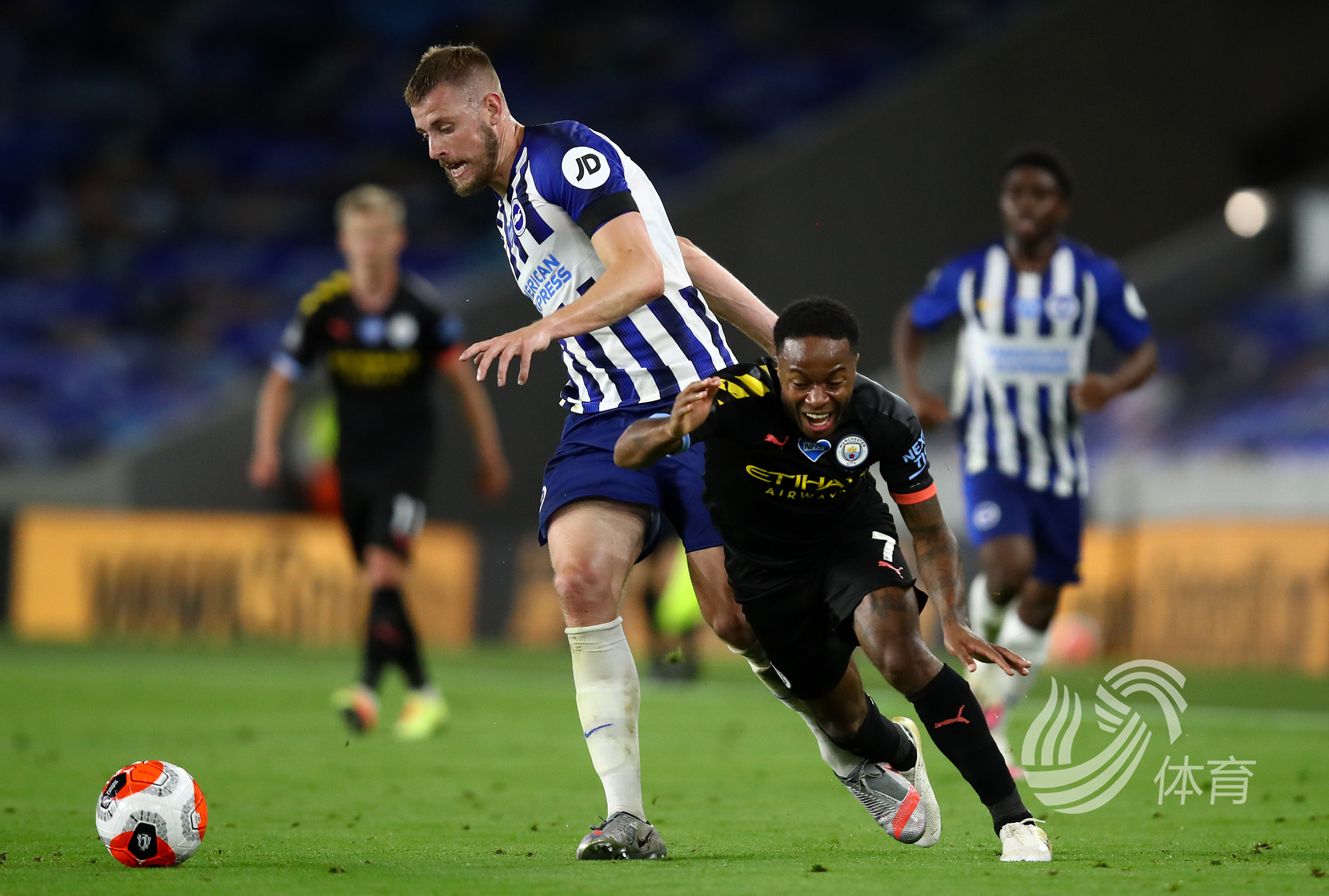 从而组成了 从而组成了