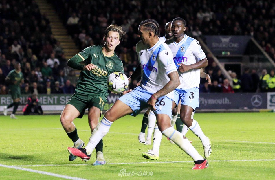 了坚实的基 了坚实的基