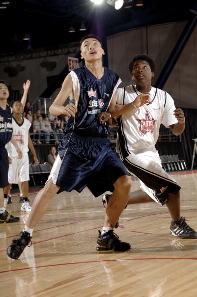 生态树立了 生态树立了